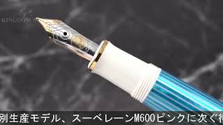 Pelikan ペリカン 万年筆 スーベレーン M600 ターコイズホワイト F