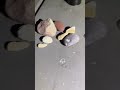 Video of McLain State Park Campground, MI from Gerard E.