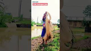 Trik cara melempar jala 1 menit langsung bisa #fishing #jala #mancing #triklemparjala