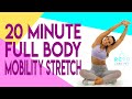 20 Minute Full Body Mobility Stretch