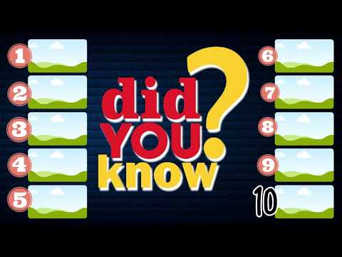 WHO IS CREATOR & DEVELOPER TEN APP GAME