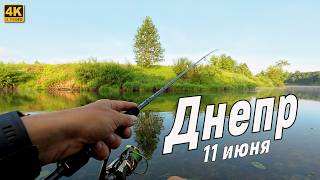 Голавль на спиннинг в июне! Улов на Днепре