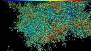 Volume rendering of Isosurface of cooling time (efficiently cooling mixing layer)