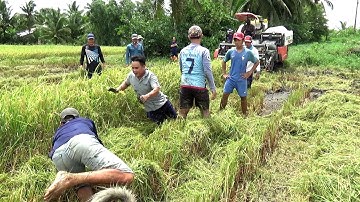 Pha Chụp Bắt Chuột Thần Thánh Cái Kết Nhớ Đời Mê Mắt Ở Miền Tây Sóc Trăng/catch the mouse/NGÃ NĂM TV