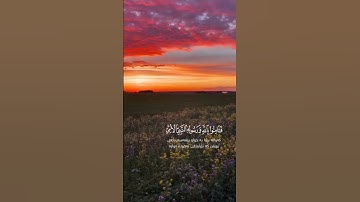 القارئ إدريس أبكر | سورة الأعراف - الآية 185 |  #قرآن#قرآن_كريم#اكسبلور #explore #quran #viral #fyp
