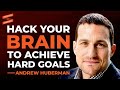 Neuroscientist On HACKING Your Brain To Achieve ANY GOAL | Andrew Huberman & Lewis Howes