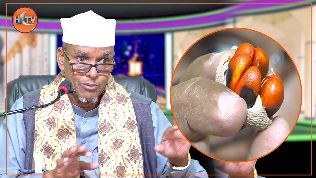 Sh.Maxamed Ismaaciil Oo Ka Digay Geed Cilaajyada Qaarkood dadka ku daweeyaan laguna dhinto