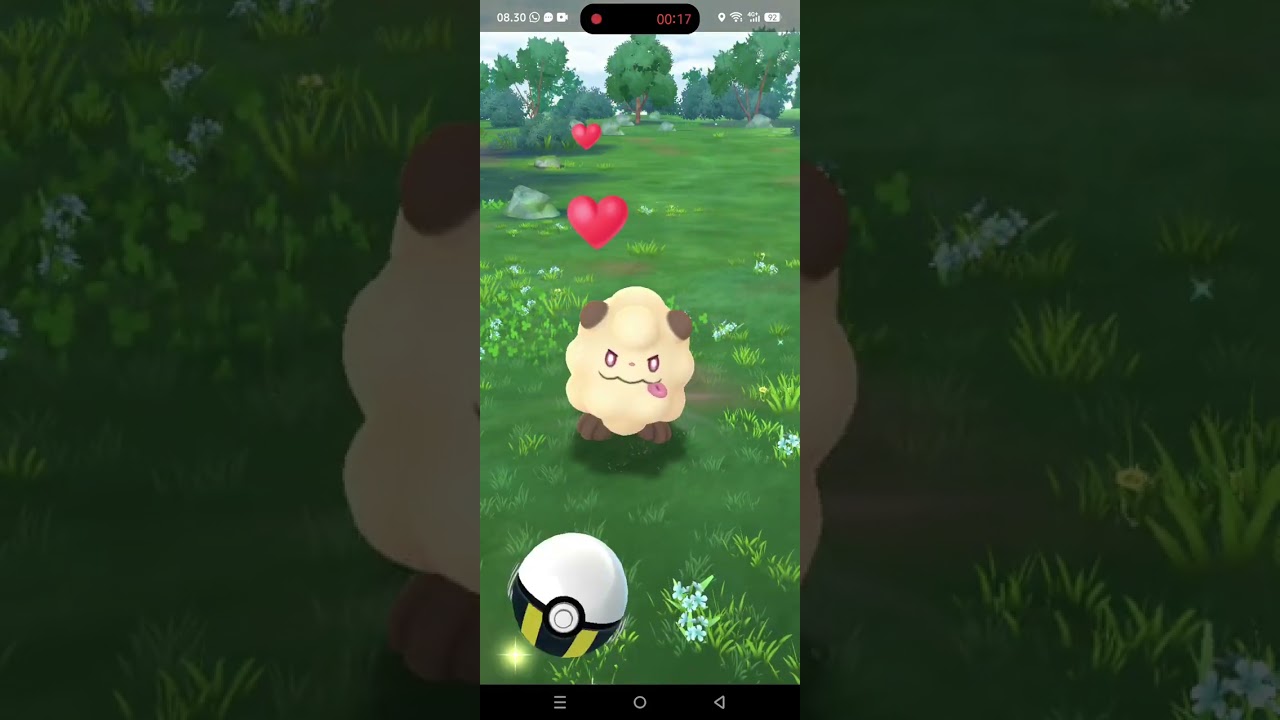 when I got shiny 3 star gold cotton candy koala-la arbanat