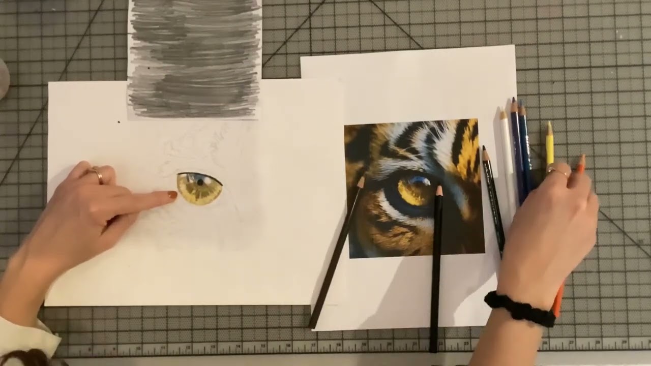 Animal Eye Colored Pencil Lesson