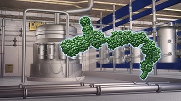 Genetically engineered bacteria can produce plastic from plants