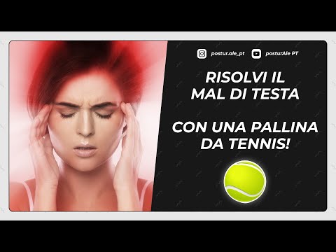 Video: La peluria della pallina da tennis fa male ai cani?