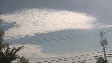 my algorithm is smarter than yours