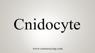How To Say Cnidocyte