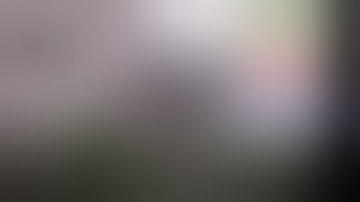 BREEDING TENT UPDATE , DEFOLIATING IN VEG AND CLONING IN ROCKWOOL CUBES!