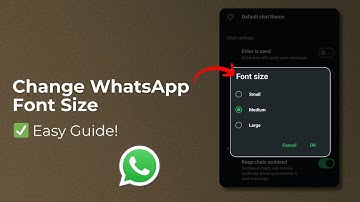 How to Change WhatsApp Chat Font Size on Android | WhatsApp Tips & Tricks