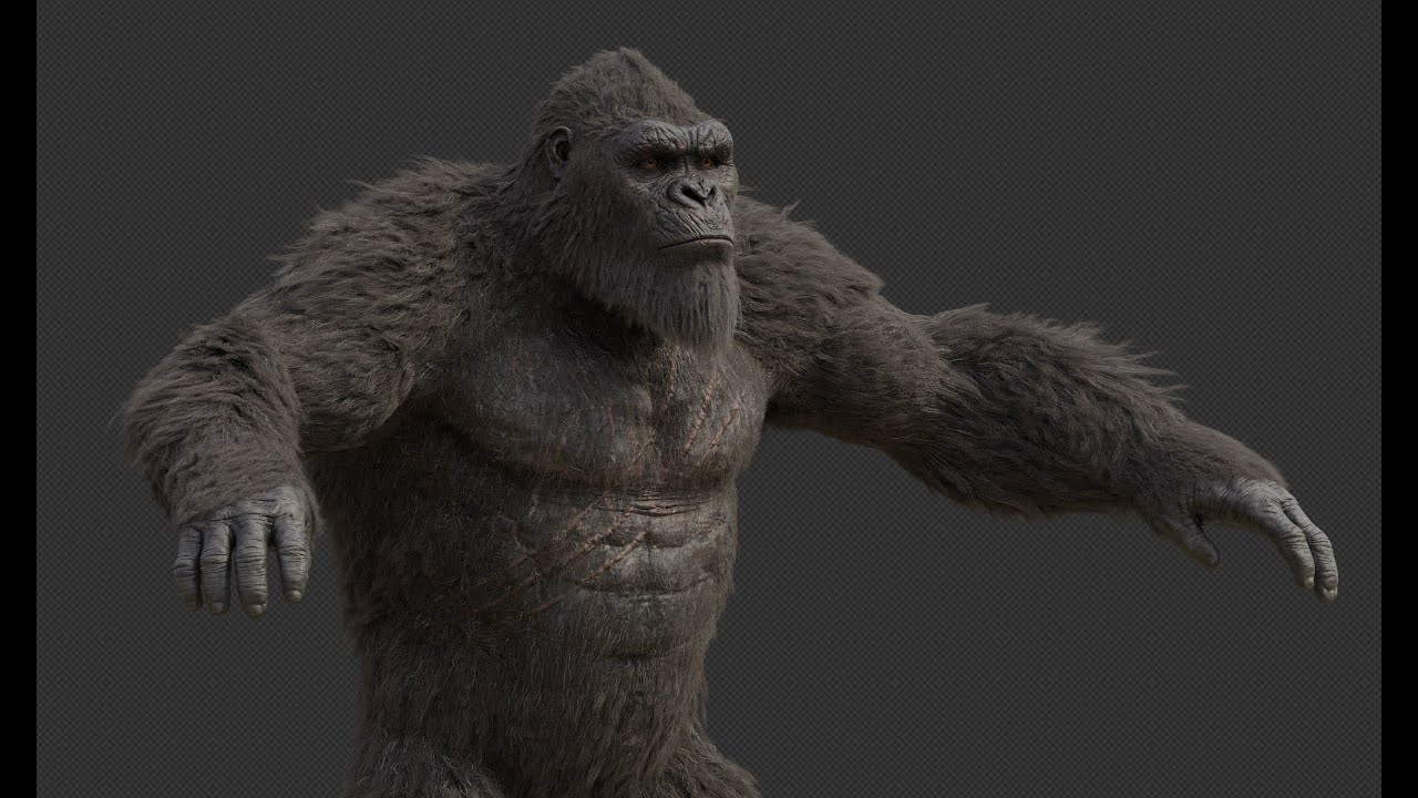 Kong turntable with more modes 