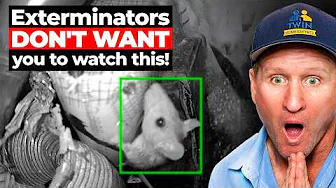 The Rat Problem No One Could Solve... Until the Twins Arrived!