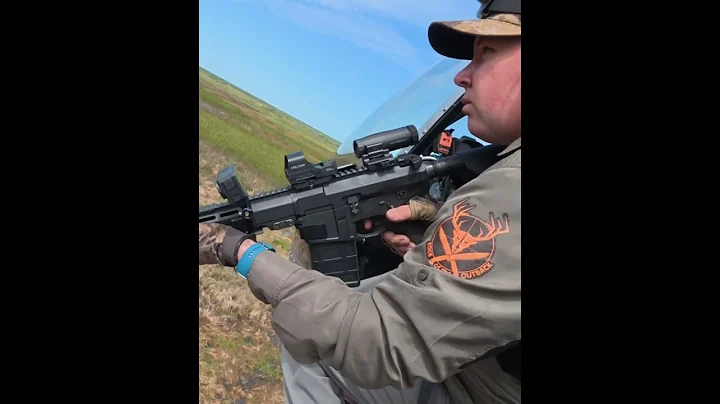 Aerial Pig Cull | Real Conservation from the Sky #AerialCull #FeralPigControl #HelicopterShooting