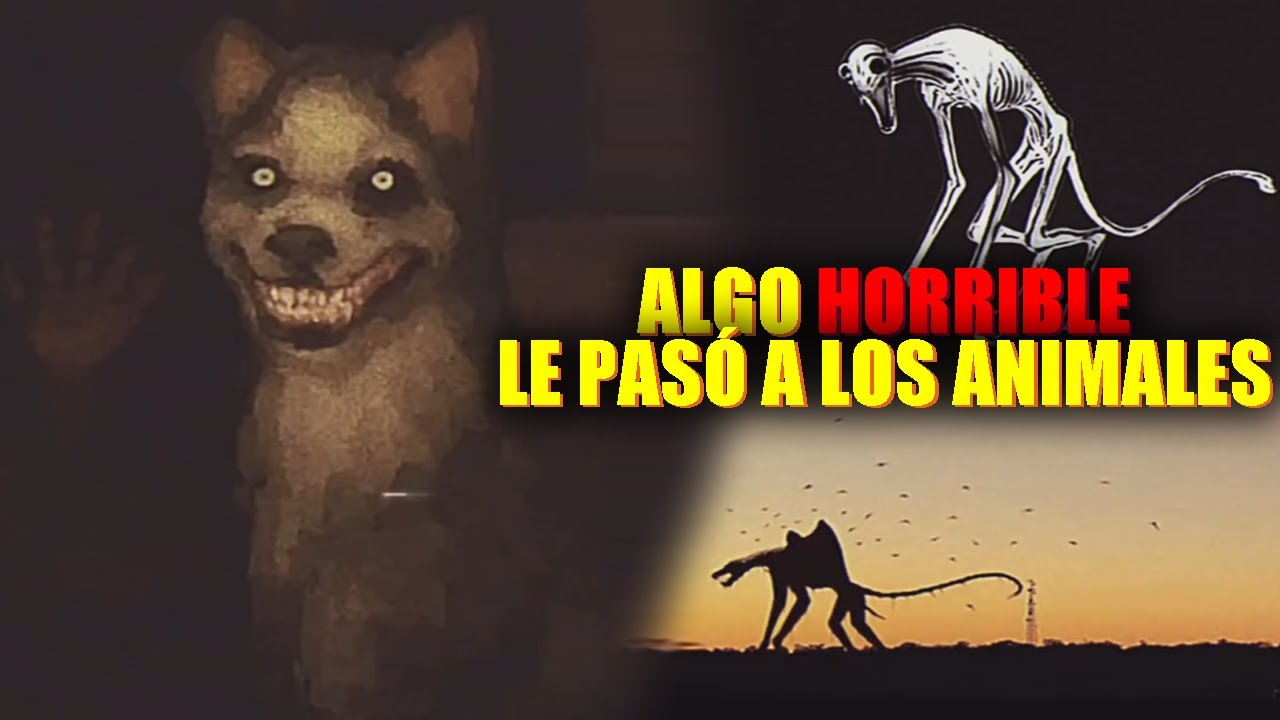 С ЖИВОТНЫМИ СЛУЧИЛОСЬ ЧТО-ТО УЖАСНОЕ - H.o.l.l.o.w F.e.a.r | ДваМилио