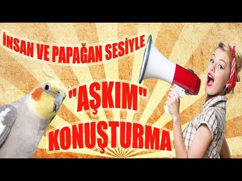 AŞKIM Ses Kaydı  İnsan ve Papağan Sesiyle KONUŞTURMA Muhabbet kuşu konuşturma aşkım sesi