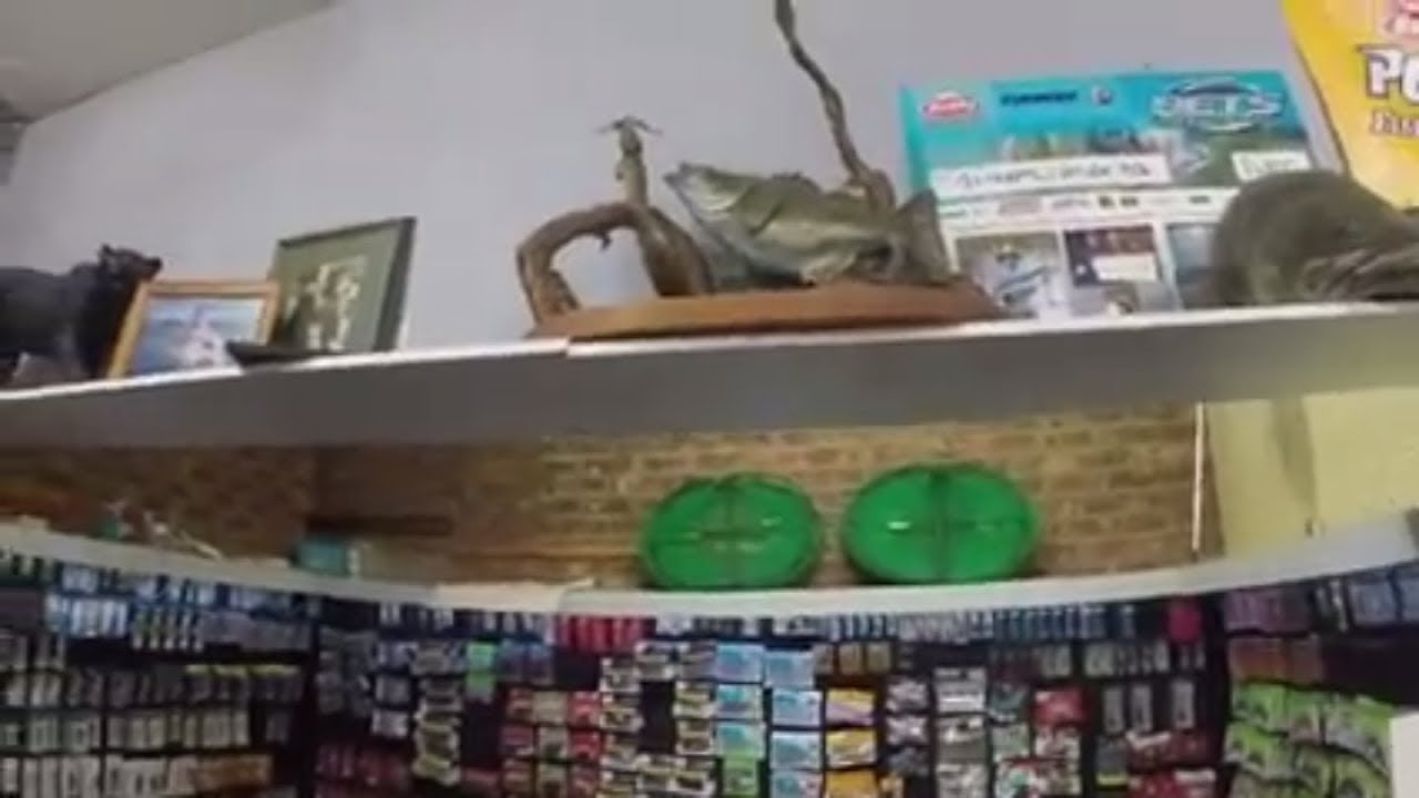 Windsor Bait And Tackle Fishing Vlogs Fishing tips, tackle talk and I