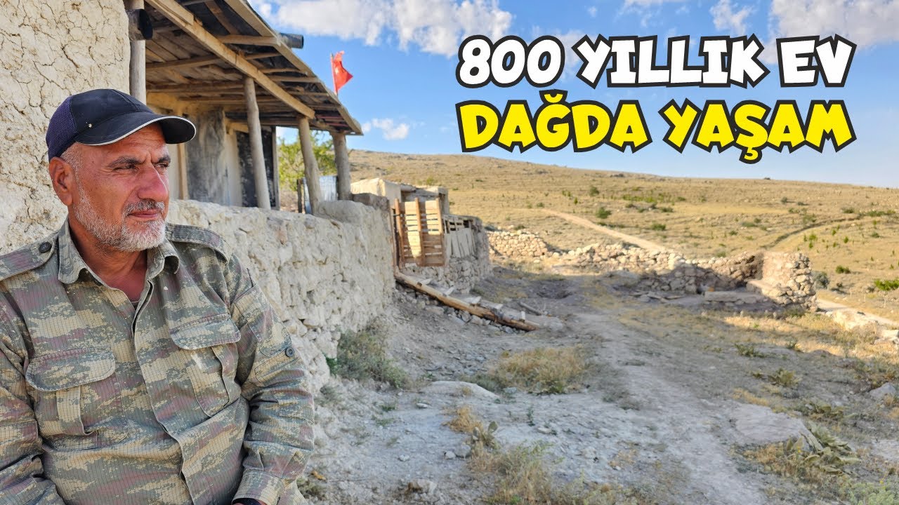 Они сказали: «ТЫ МОЖЕШЬ ЖИТЬ В 800-ЛЕТНЕМ ДОМЕ», потому что он заботился о деревьях в горах.