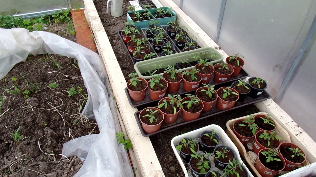 Greenhouse vlog 1 Siltnamio vlogas 1. Irengimas