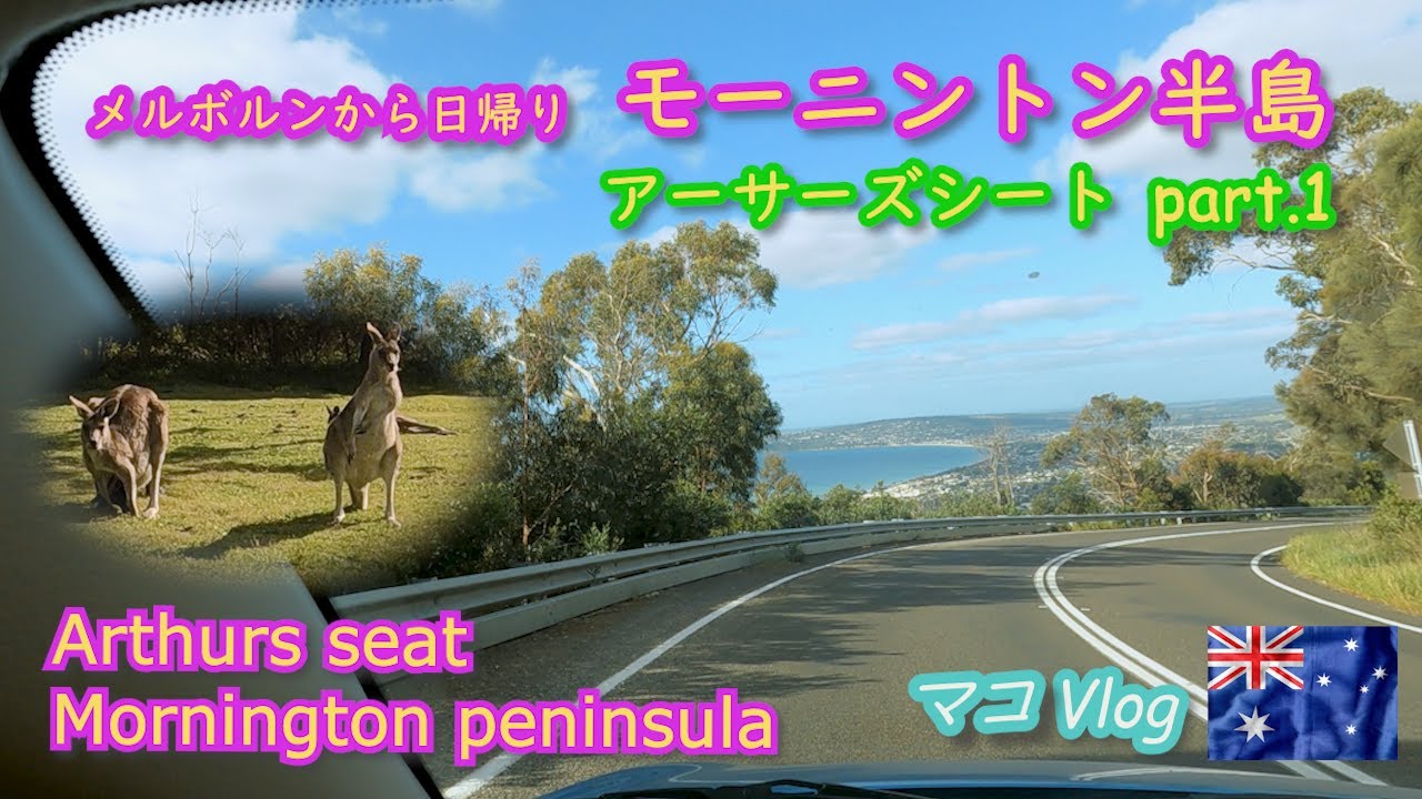 メルボルンから1時間半 モーニントン半島の丘 アーサーズシート日帰り観光 Part1 国際カップル オーストラリアの暮らし Youtube
