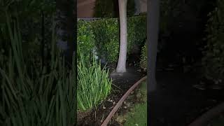 IMG 0929