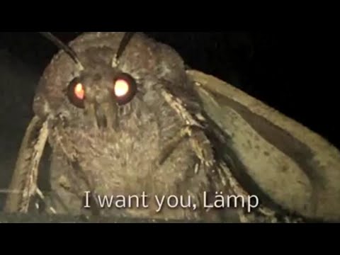 MØTH LÄMP MEME