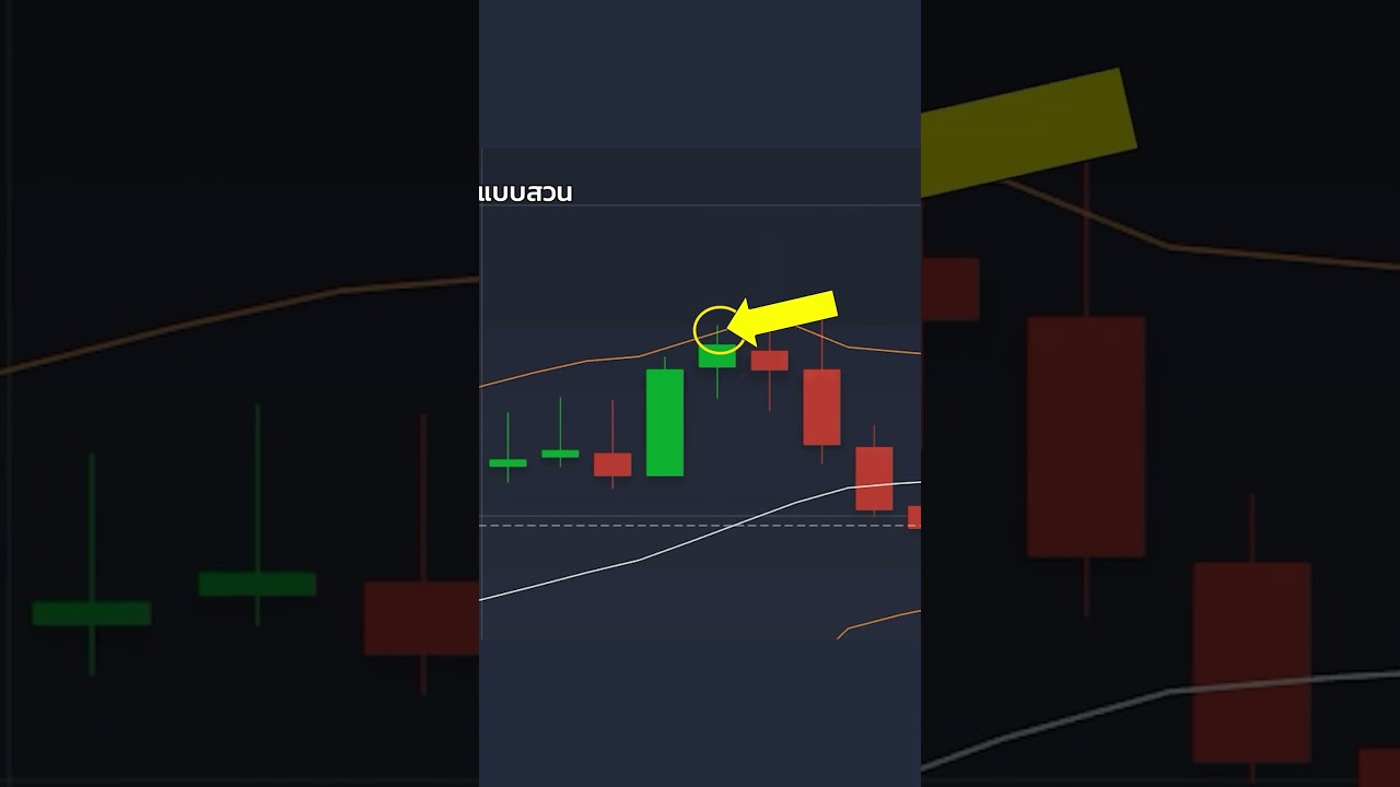 สอนเทรด IQ Option ฉบับง่ายที่สุด ไม่รู้อะไรก็เริ่มได้ ทำกำไรทันที แนะนำมือใหม่!  #iqoption #probear
