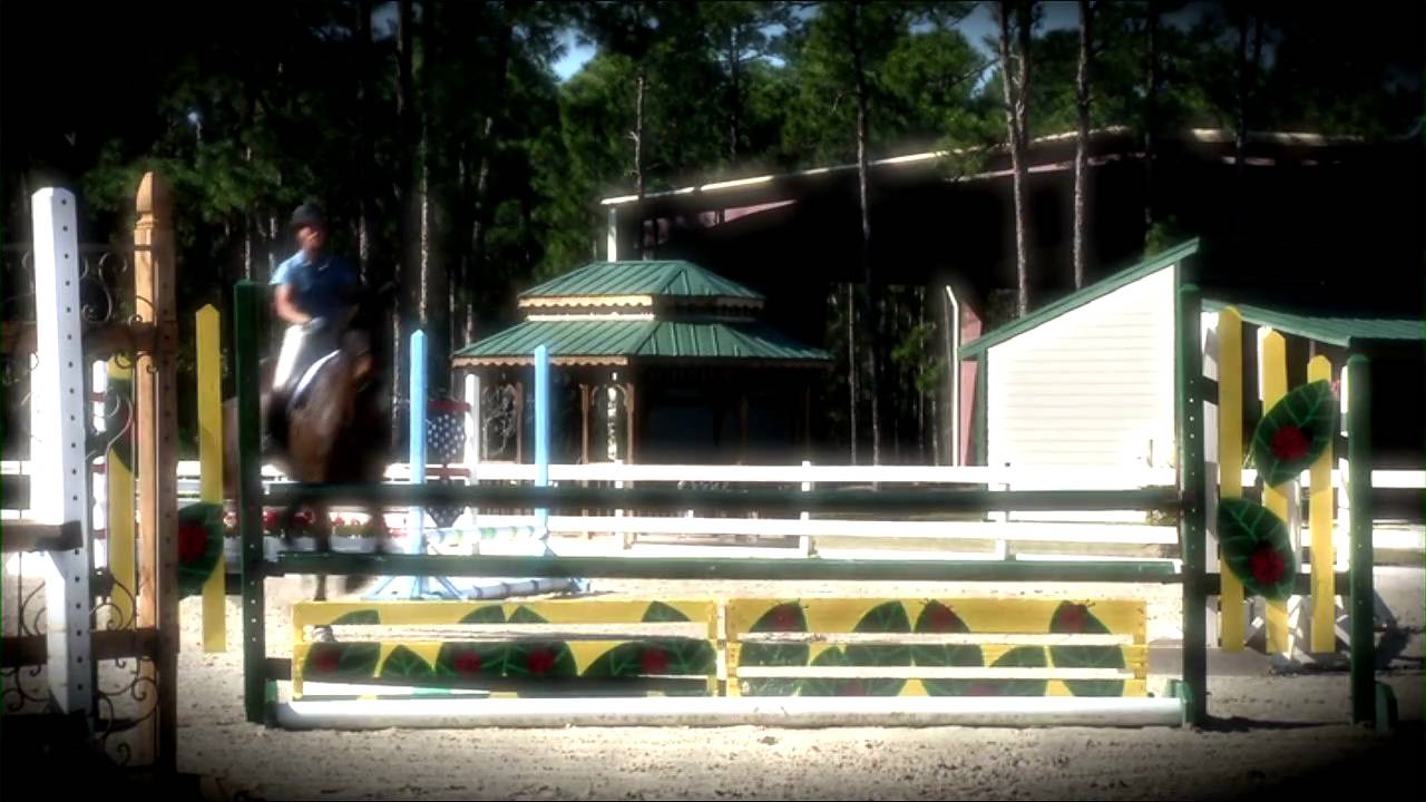 EquiSpectrum Equine Thermal Imaging