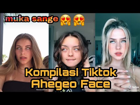 Komplikasi Video Tiktok Ahegeo Bikin Sange  bosq