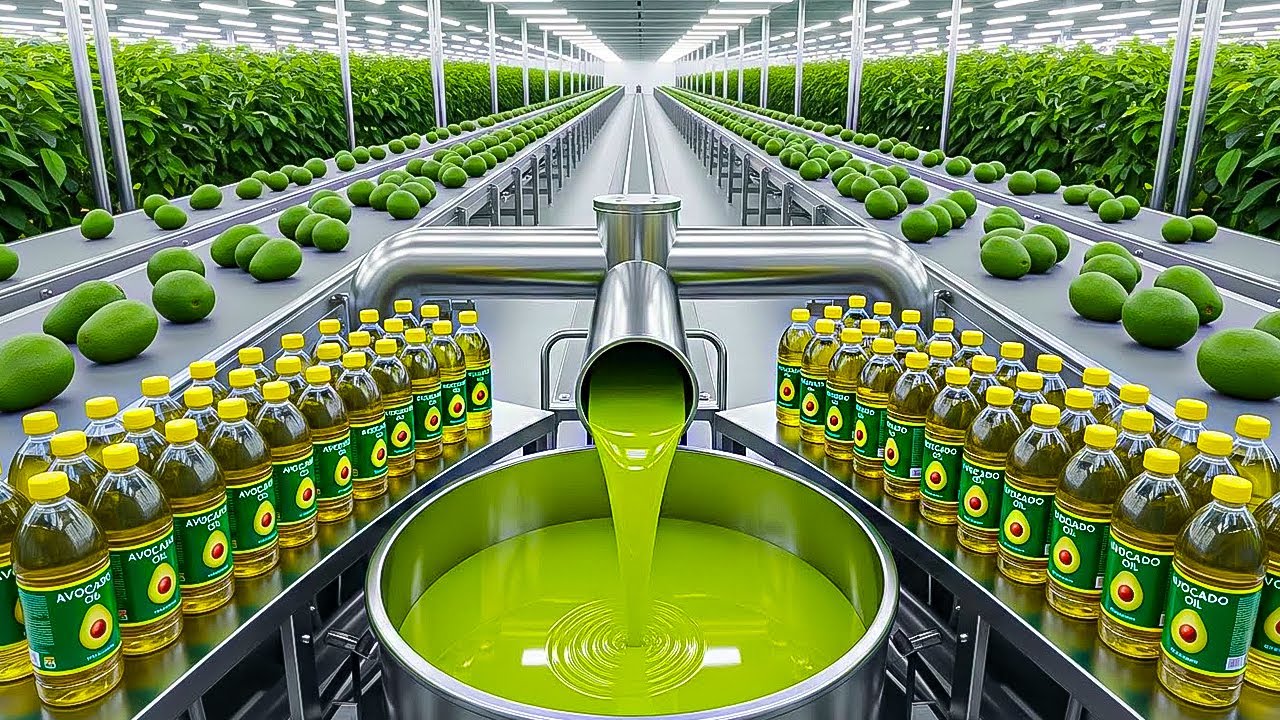 Inside the Avocado Oil Factory - How Avocado Oil Is Made 🥑 ( Full Factory Process )