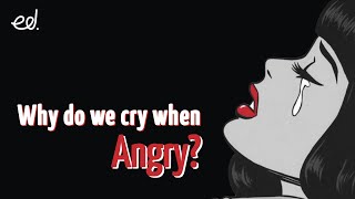 Why does anger make us cry? I Minies by Edstead I Episode 4