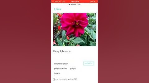 scroll problem