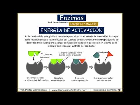 Video: ¿Quién hizo la energía de activación?