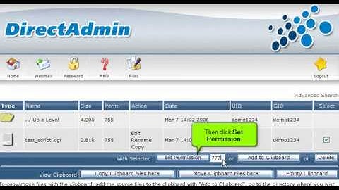 Hoe werkt de filemanager in Directadmin