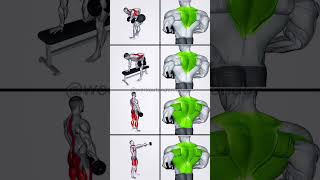 Effective exercise at Home  #workout #fitness