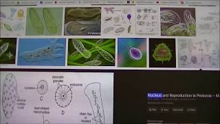 WORM CASTING vs Compost ...Living Microbes.  Part 2