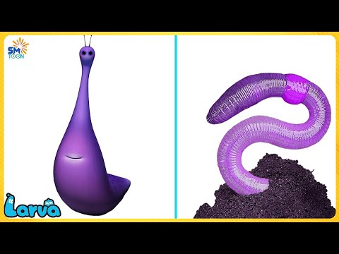 LARVA FULL EPISODE: THE VIOLET | CARTOON MOVIES FOR LIFE | FUNNY VIDEO by SMToon Asia