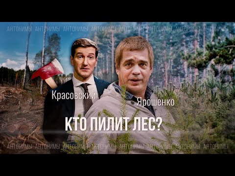 Видео: Какво прави GreenPeace