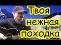 Тимур Муцураев - ТВОЯ НЕЖНАЯ ПОХОДКА