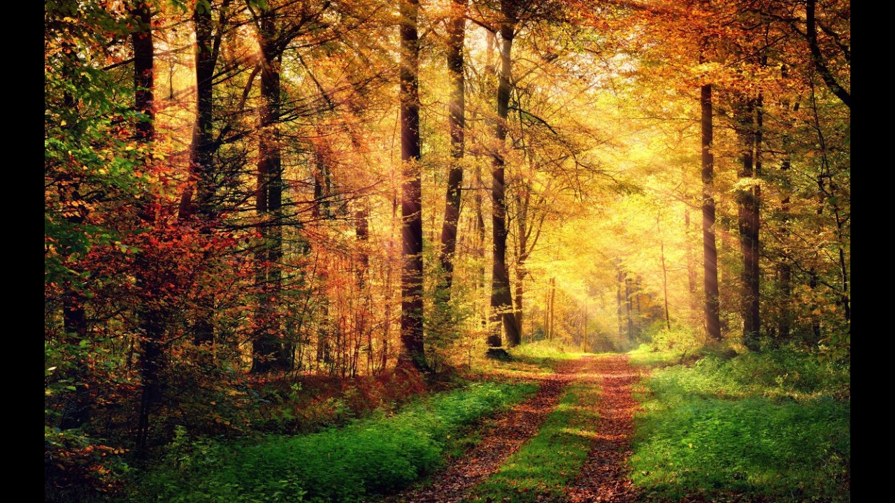 нескучный выход