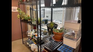 STEM NGSS