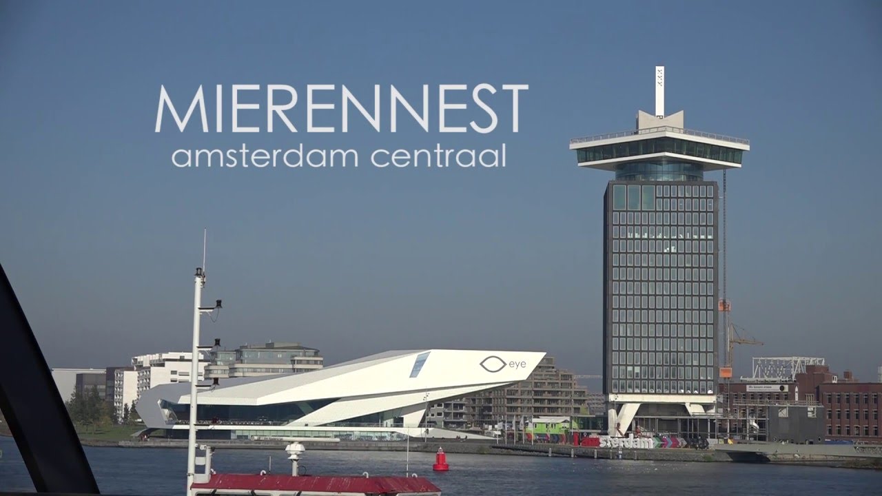 Mierennest: Amsterdam Centraal