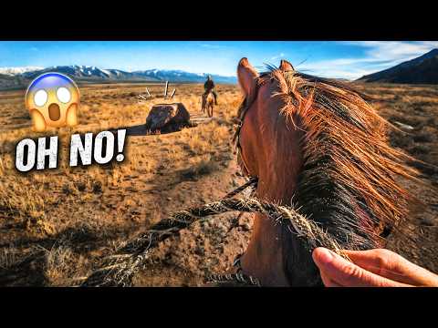 We Took A Newly Trained Mustang Back To The Mountains