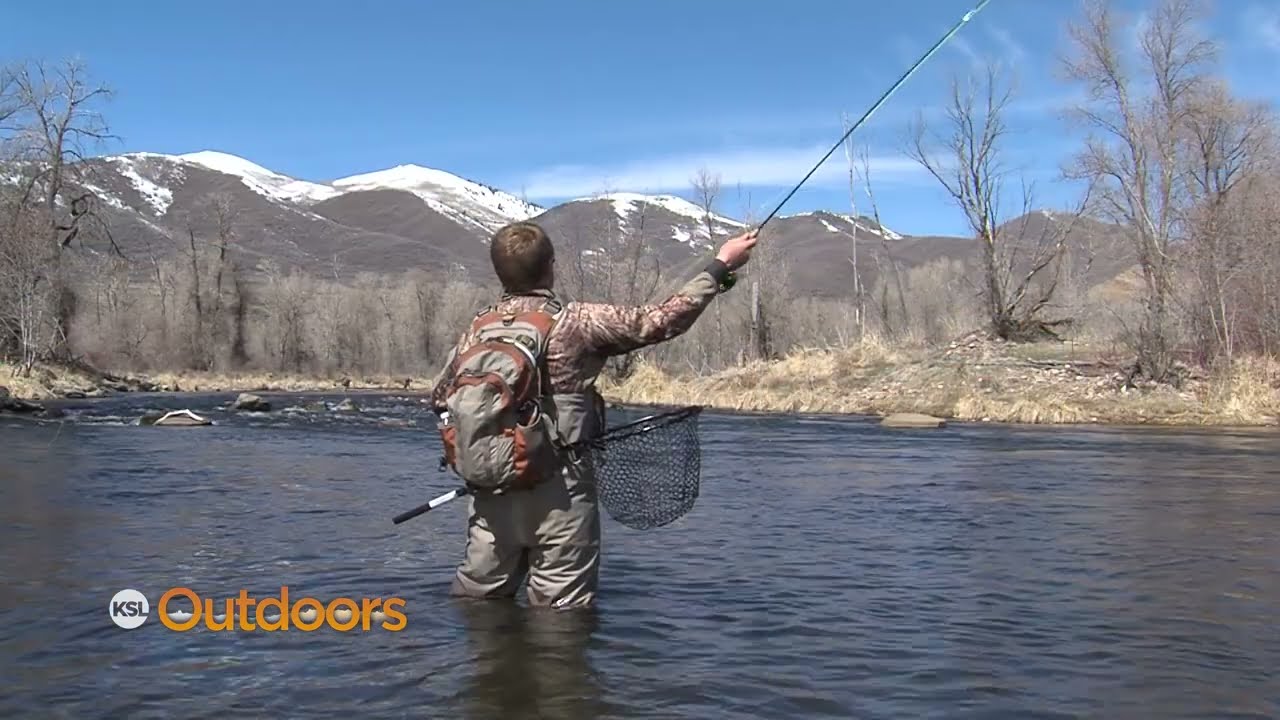Fish Tech Tip: Fishing the Blue Wing Hatch on the Provo and Green
