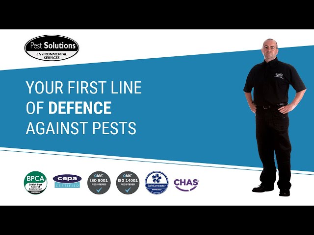 Pest Control Glasgow | Pest Solutions | BPCA | Pest Prevention Glasgow