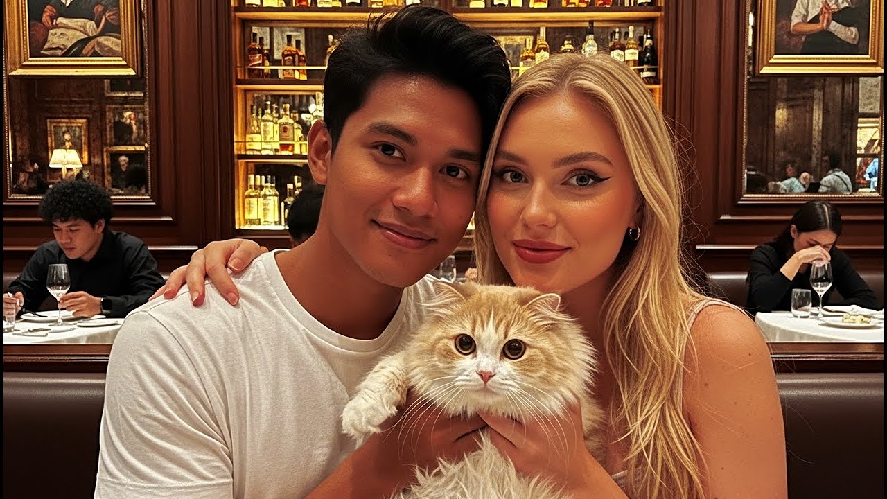 VIRAL ‼️ ช็อก! แรงงานไทยเก็บแมวข้างถนน...สุดท้ายรู้ความจริงคือทายาทโรงแรมหรูมาขอแต่งงาน?! 😱